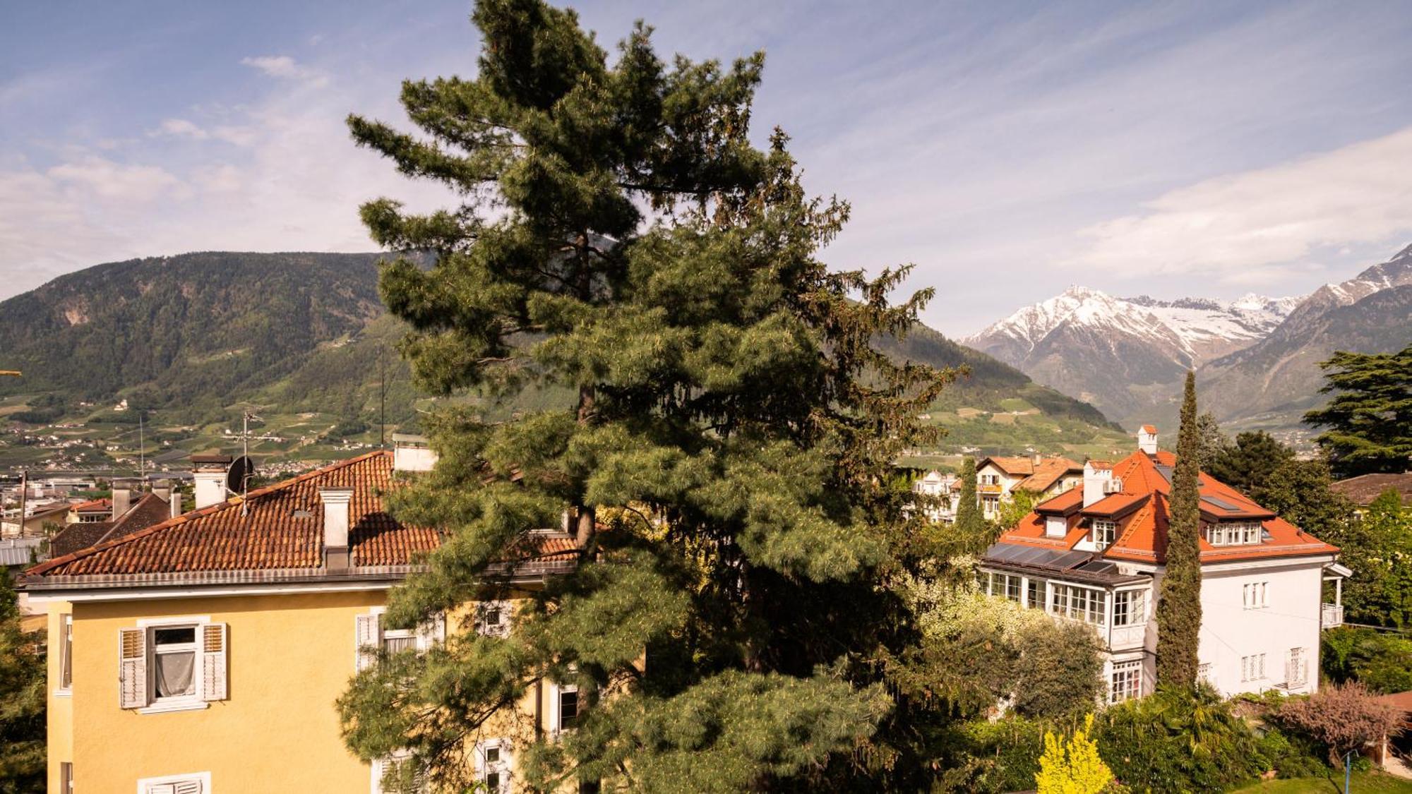 Hotel Villa Laurus Merano Exterior photo